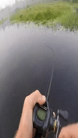 Predator Frog - Topwater Lure Designed for Bass, Pike & Snakehead