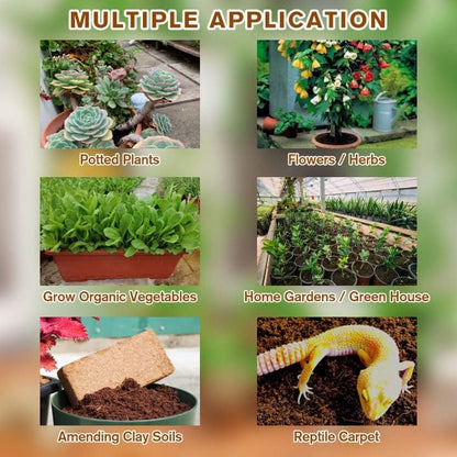 CocoBloom – Natural Coconut Coir Bricks for Plants