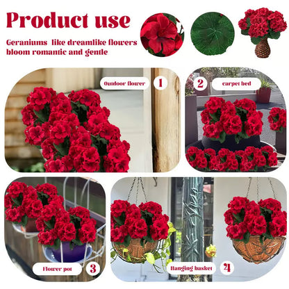 RoseAura – Eternal Geranium Floral Set