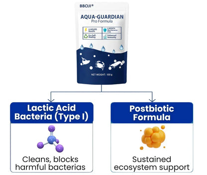 AquaPure – Advanced Water Purifier