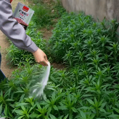 TerraStop – Fast Penetration Root Rot Treatment Granules