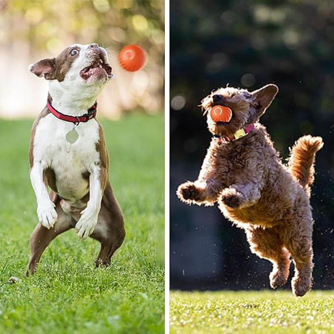 BarkBounce - Interactive Dog Teasing Ball