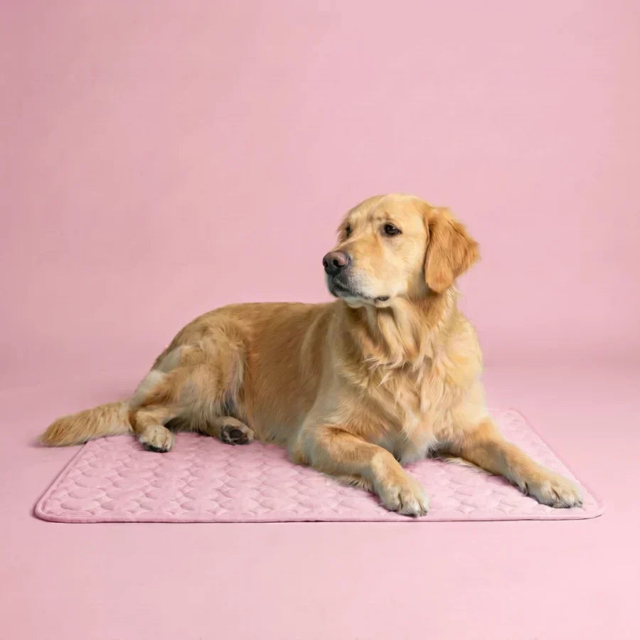 PolarComfort – Breathable Pet Cooling Bed