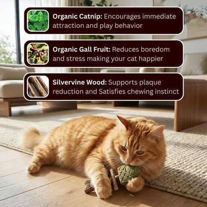 PurrGuard – Catnip & Silvervine Dental Chew Sticks
