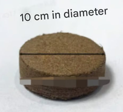 CocoBloom – Natural Coconut Coir Bricks for Plants