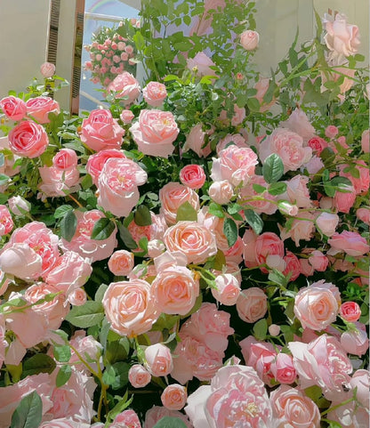 RoseCascade – Premium Climbing Rose Bulbs