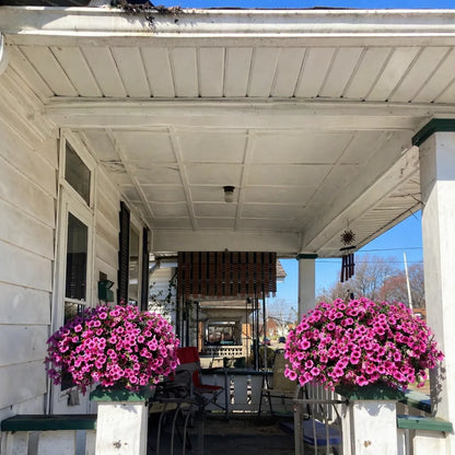 BloomScape – Outdoor Floral Decoration