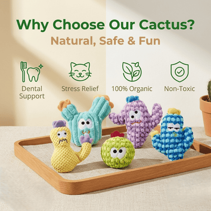 CatnipCove - Cactus Play Toy Collection