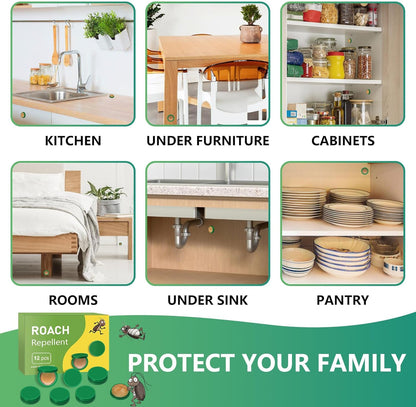 InsectBarrier – Roach Control Solution