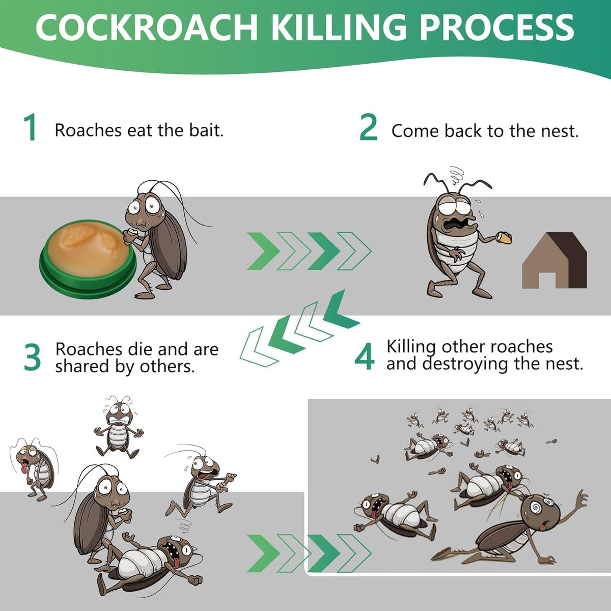 InsectBarrier – Roach Control Solution
