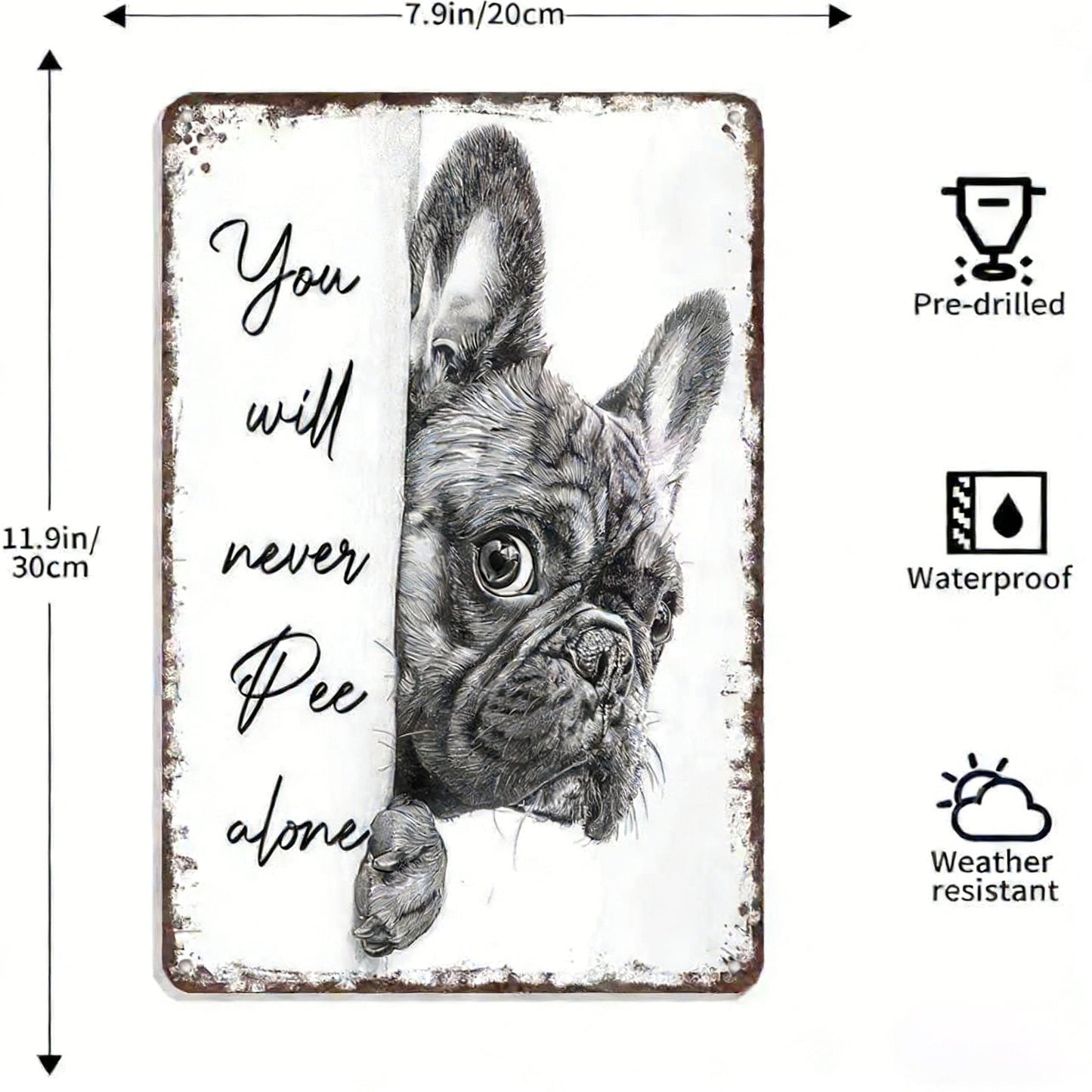 NoirWhiskers - Vintage Cat Wall Art
