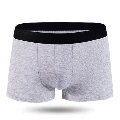 Basic Boxer Shorts