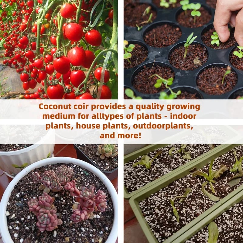 NatureSprout – Organic Coconut Coir for Lush Gardens