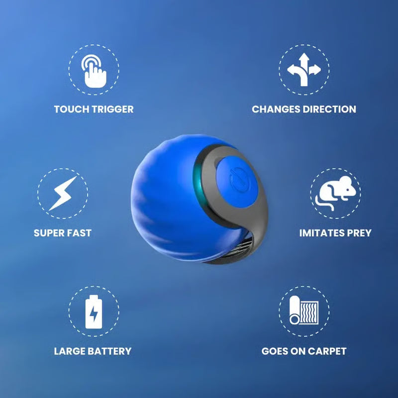 CatChase – Electric Rolling Ball