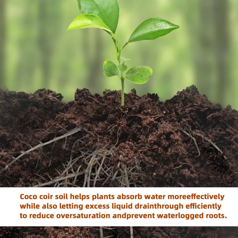 CocoBloom – Natural Coconut Coir Bricks for Plants
