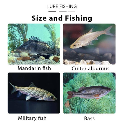 FishMagnet – Soft Bait Jig Head Lures Kit