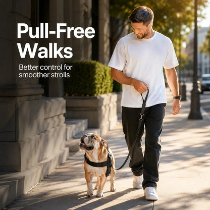 PawGuard – No-Pull Dog Harness