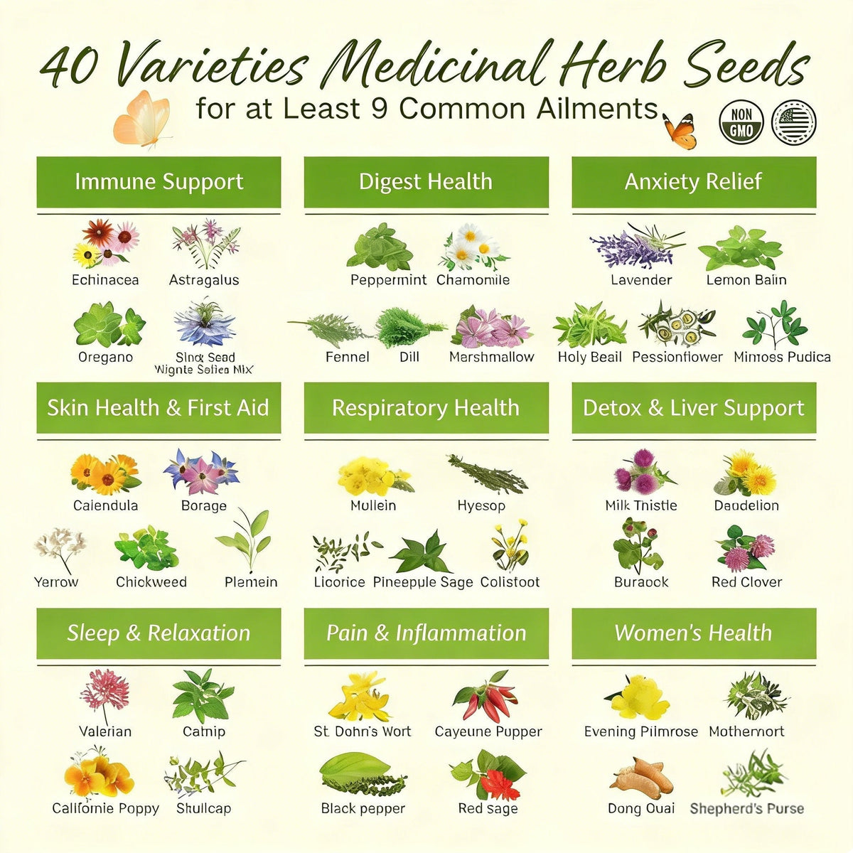 🌿The Ancestral Apothecary Seed Chest: 40 Varieties of Medicinal Herb Seeds 🌱