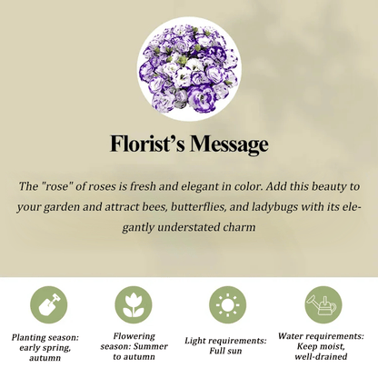 GardenMuse – Elegant Multi-Color Flower Seeds