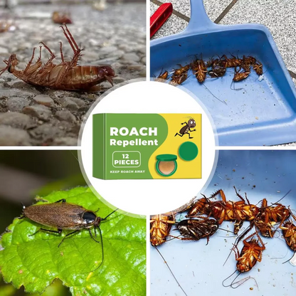 InsectBarrier – Roach Control Solution
